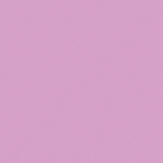 Carpolly Lilac Paint 3D Model for Interior Walls