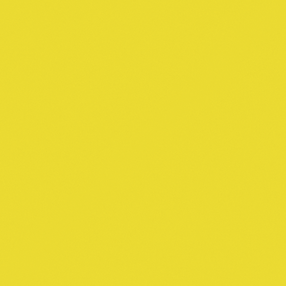 Yellow Wall Paint 3D Model - C1188-A