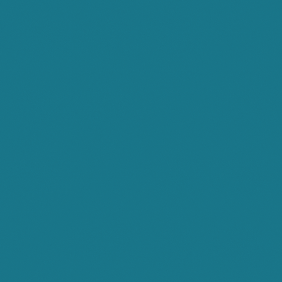 Deep Sea Blue Carpolly Paint 3D Model