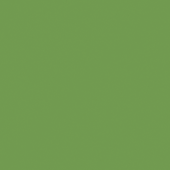 Carpolly Green Wall Paint 3D Model in Green