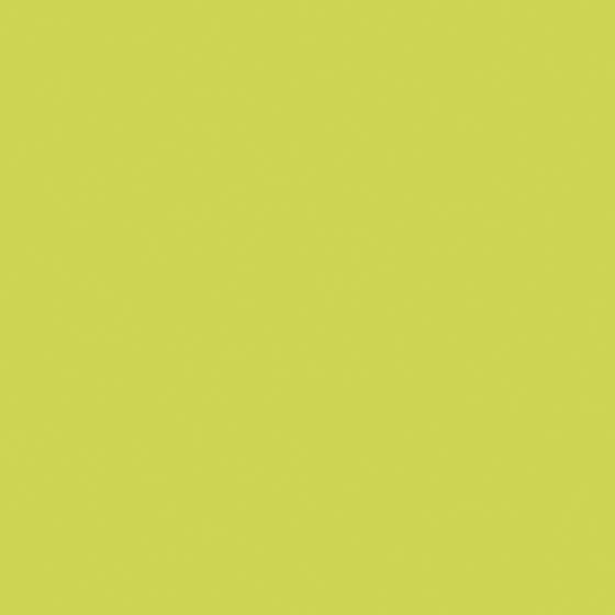 Carberry Lime Land C1215-A Wall Paint 3D Model in White
