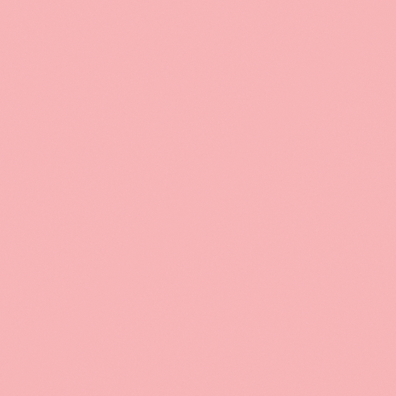 Carpolly In Love Wall Paint 3D Model in Pink