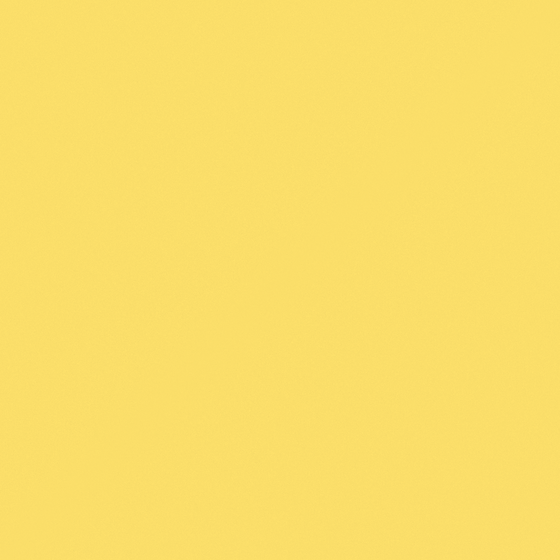 Carberry Sunny Wall Paint 3D Model in White