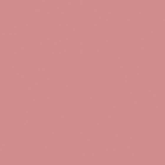 Pink C1005-T Wall Paint 3D Model