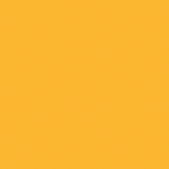 Carpolly Sunflower Wall Paint 3D Model in Yellow