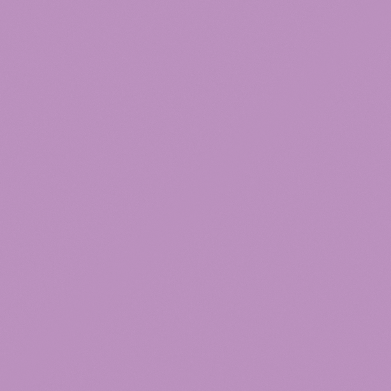 Carpolly Lavender Fields 3D Model in White