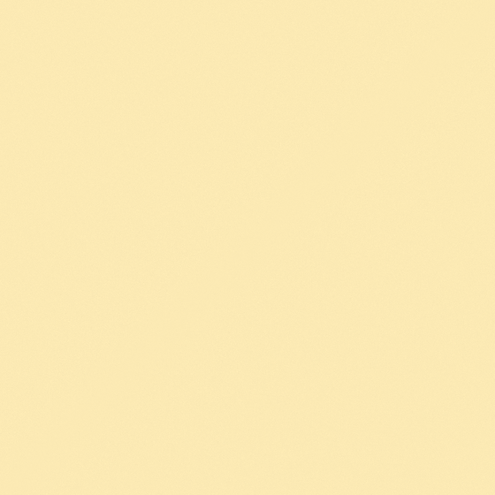 Carpolly Light Brown M2110-T 3D Model in White