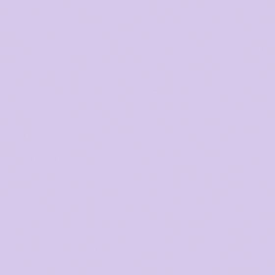 Carpol Violet Wall Paint 3D Model in White