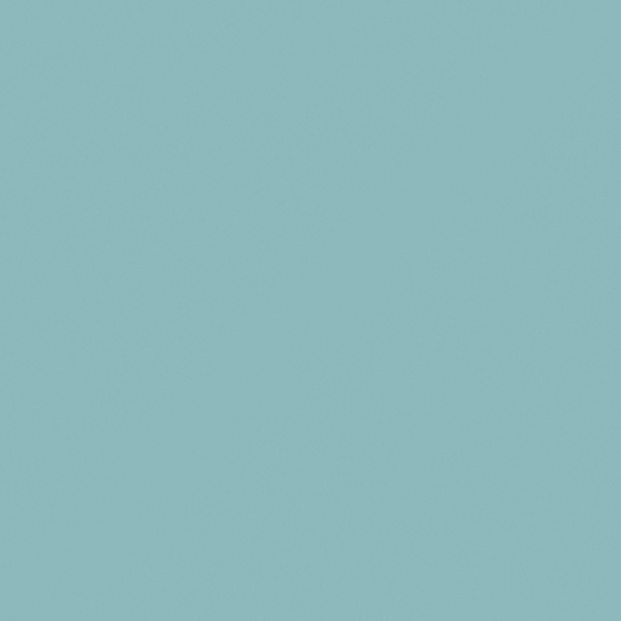 Carpolly Alaska 3D Model in Green Finish