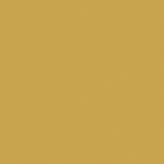Carpolly Brass Color Wall Paint 3D Model