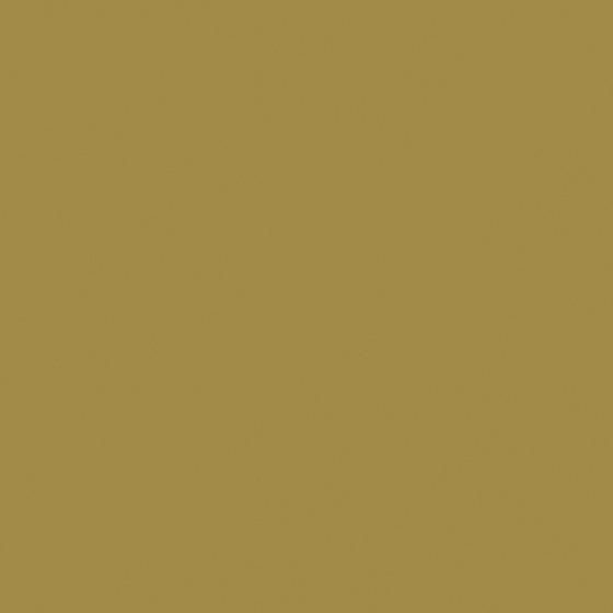 Carpolly Olive Green Paint 3D Model