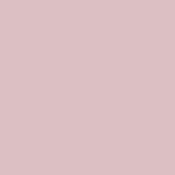Carpoly Flower Tea 3D Model in Pink Wall Paint