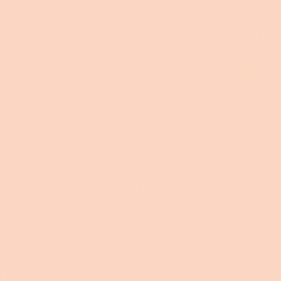 Carberry Pink Summer Love Wall Paint 3D Model in Pink
