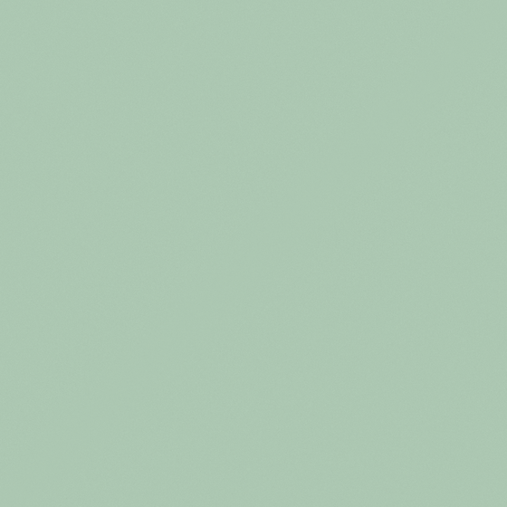 Carberry Green Pearl Wall Paint 3D Model in Green