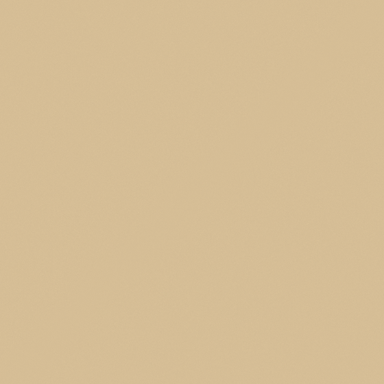 Carpolly Beige M2186-T Y 16 75 35