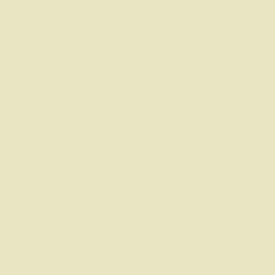 White Carmaine Leek Wall Paint for Elegant Interiors