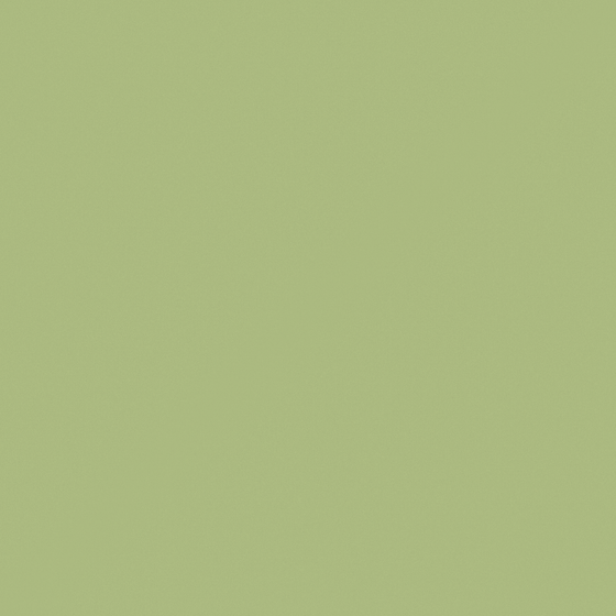 Carpolly Willow Warbler M2307-D 3D Model in White