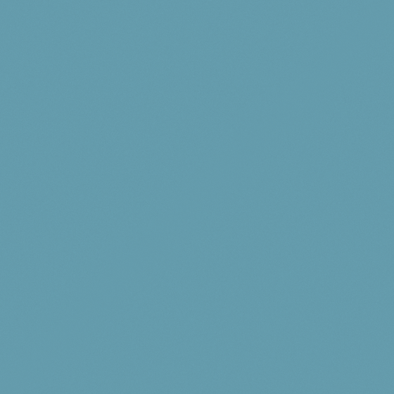 Carpolly Blue Calico M2432-T Wall Paint in Blue