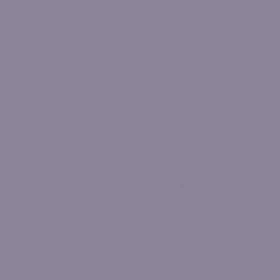 Carpoly Blueberry Wine Wall Paint 3D Model