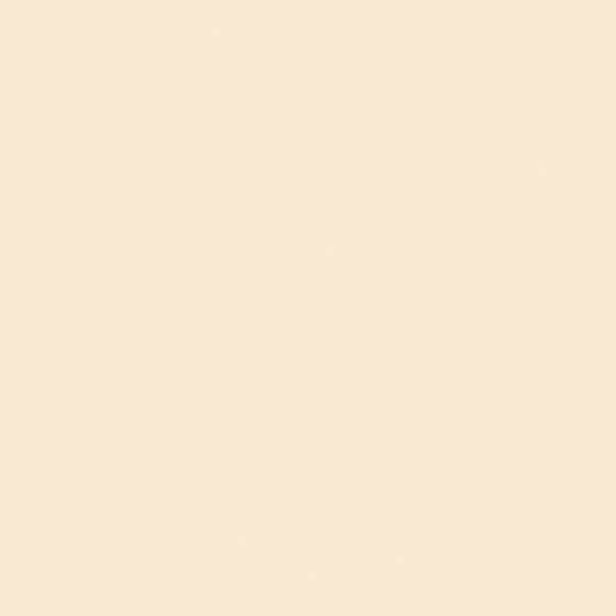 Beige Wall Paint 3D Model for Fairy Bride Atmosphere