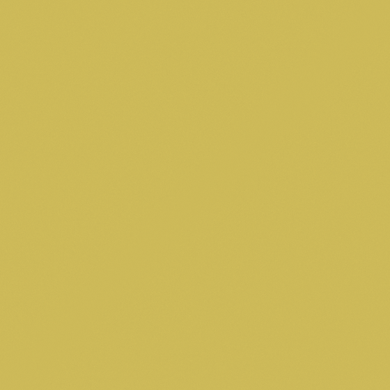 White Carpolly Mustard Yellow Wall Paint 3D Model for Vibrant Interiors