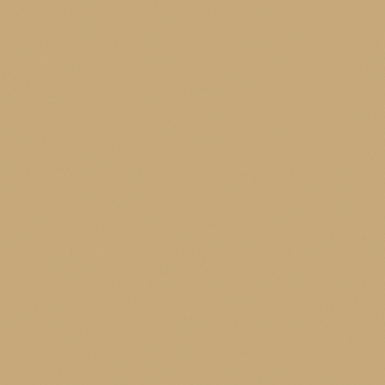 Rice Camel Wall Paint 3D Model