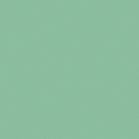 Carpolly Green Mustard Wall Paint 3D Model in Green