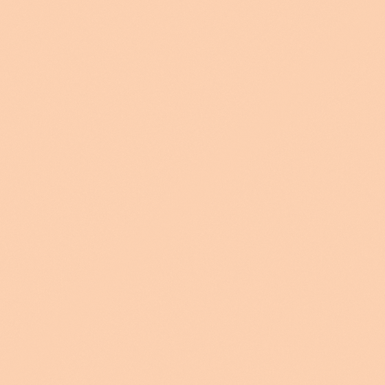 Carpolly Flat Peach Wall Paint 3D Model in Pink Shade