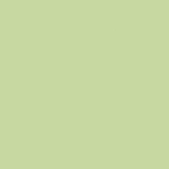 White Carpoly South Carolina Style M2312-T Wall Paint 3D Model