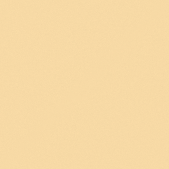 White Carberry Graham Cracker M2164-P Wall Paint 3D Model