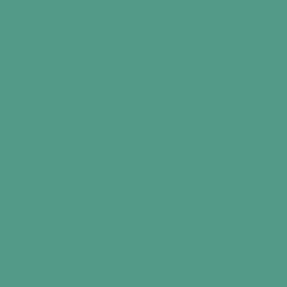 Carpolly Desert Oasis M2370-D BG 27 55 52