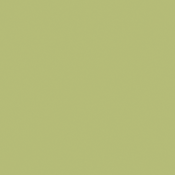 Carpolly Pine Green M2292-D GY 46 71 50