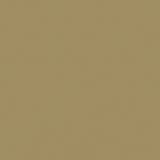 Carpolly Copper Paint 3D Model in White