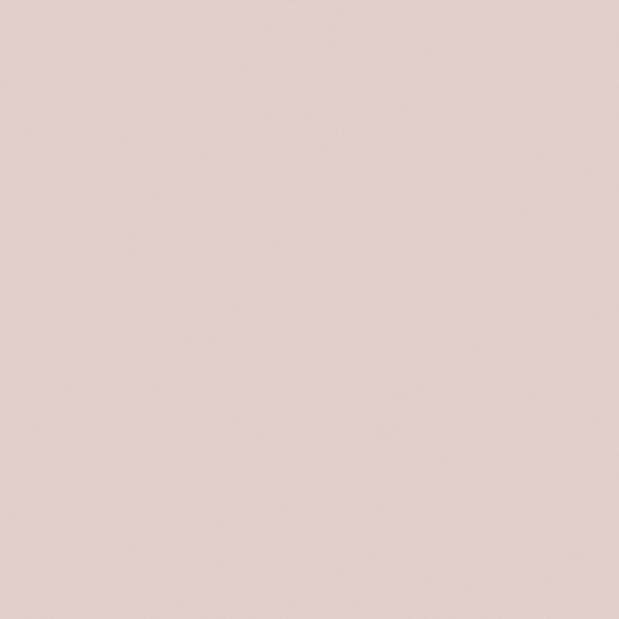 Carpolly Pink Wall Paint 3D Model