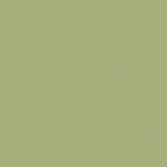 White Carboli Shifeng Longjing M2299-D Wall Paint 3D Model