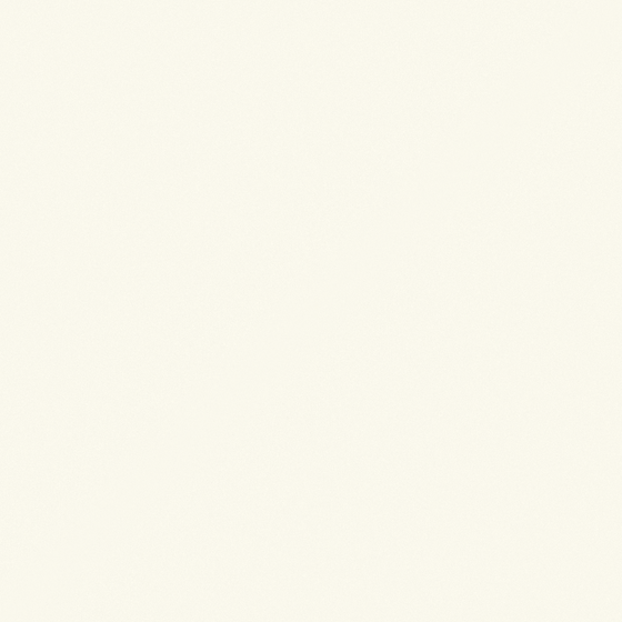 White Carpolly Silk Paint for Clean Interiors