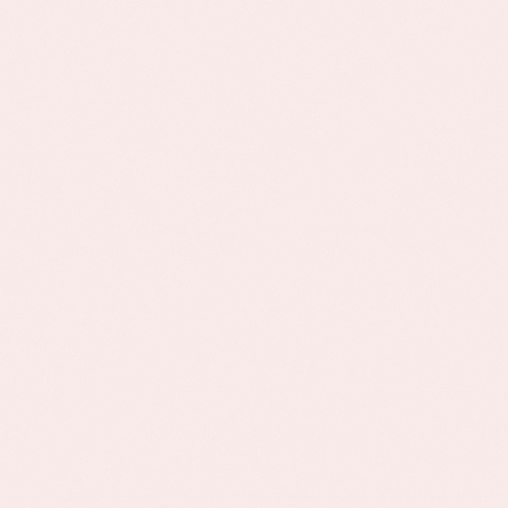 Carpolly Pink Wall Paint 3D Model