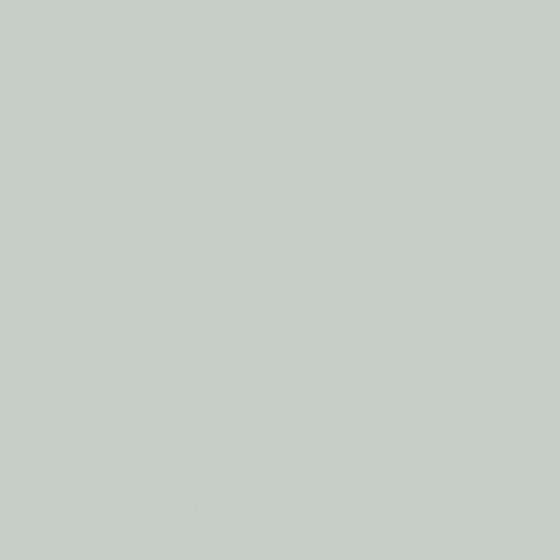 Carpolly Minimalist Light Grey Paint 3D Model