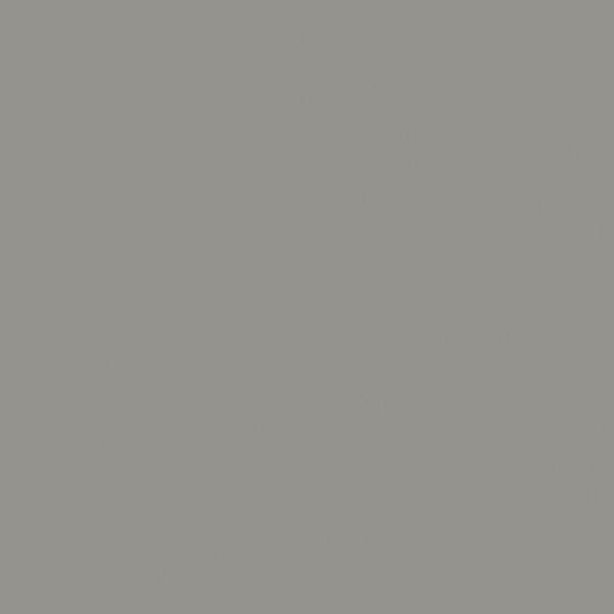 Carpolly Grey Earth Flying Paint - Wall Paint