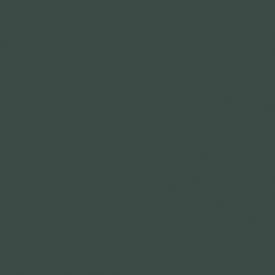 Carberry Black Goji Wall Paint G4077-A BG 29 31 10 in Green