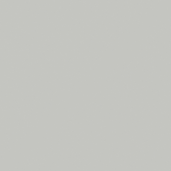 Carpoly Cloud Grey G4016-P Wall Paint in White