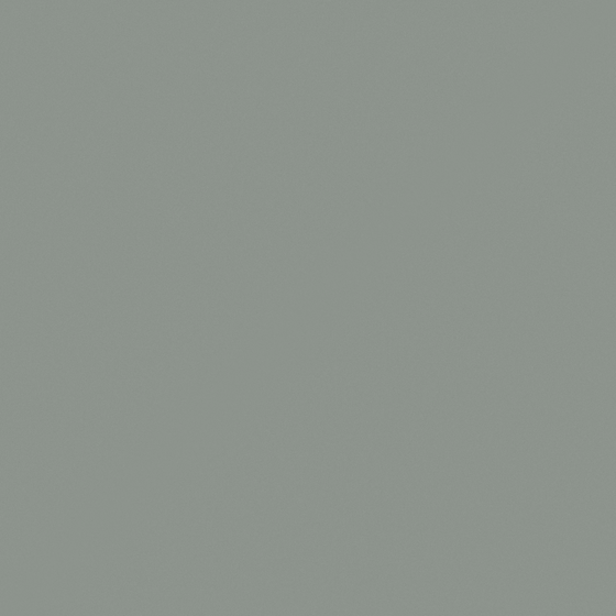 Carpolly Elephant Paint G4061-T in White