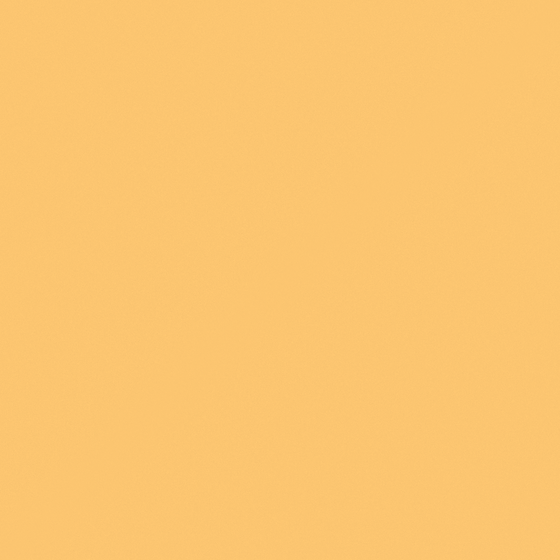 Carpolly Crisp Persimmon C1117-T YR 98 81 78