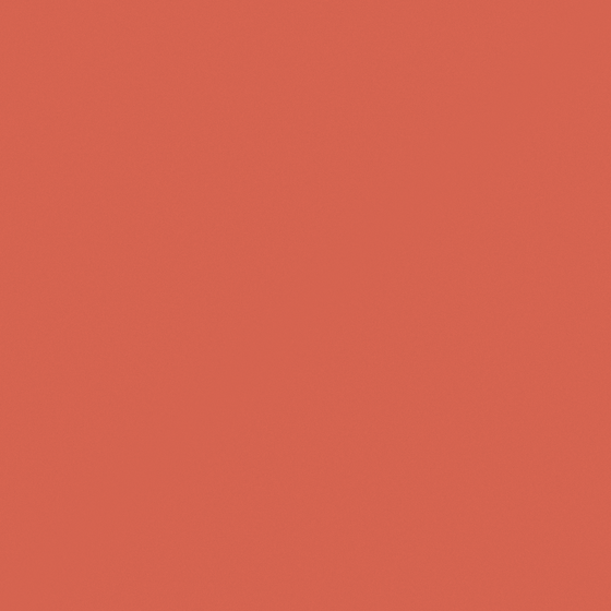 Carpolly Tangerine C1056-A Wall Paint 3D Model