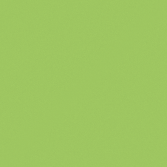 Carpoly Awakening of Insects Wall Paint 3D Model in Green
