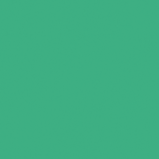 Carpolly Jin Yin C1279-A G 74 59 86