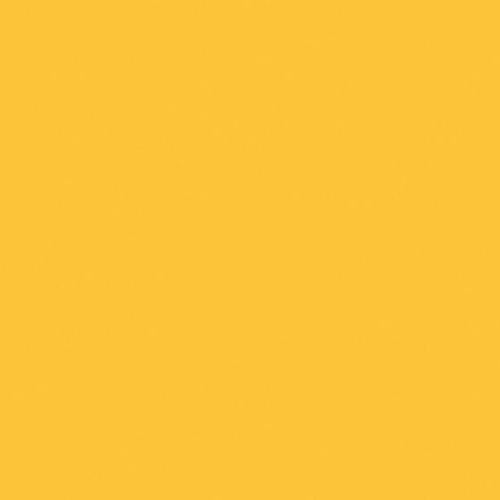 Carpolly Gold Ribbon C1146-A Y Wall Paint in White