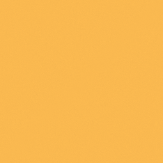 Garber Golden Conch C1118-D Wall Paint in White