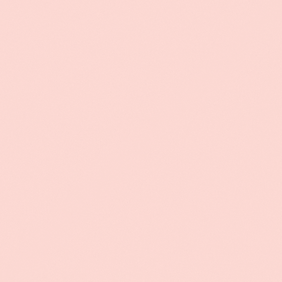 Carpolly Pink Peach Plums Wall Paint 3D Model