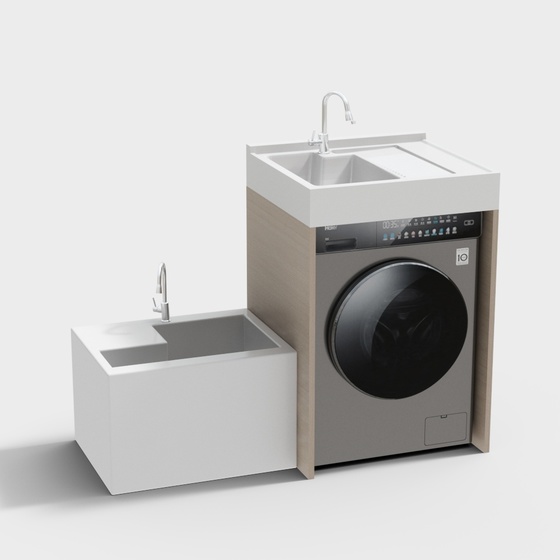 0081 Washing machine